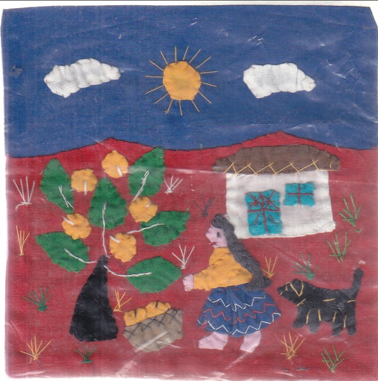 Colombian Embroidery and Applique