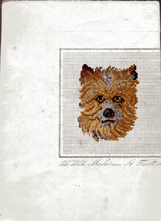 Berlin Wool Work of a Dog
