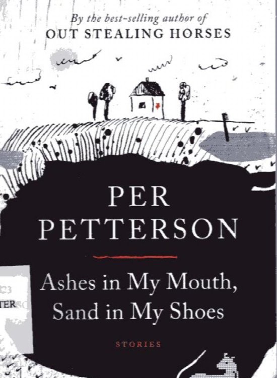 Ashes in My Mouth, Sand in My Shoes: Stories