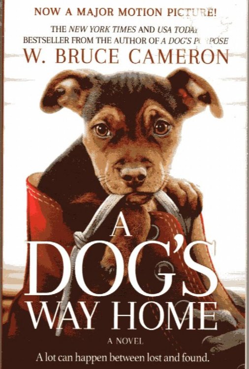 Dog's Way Home, a novel
