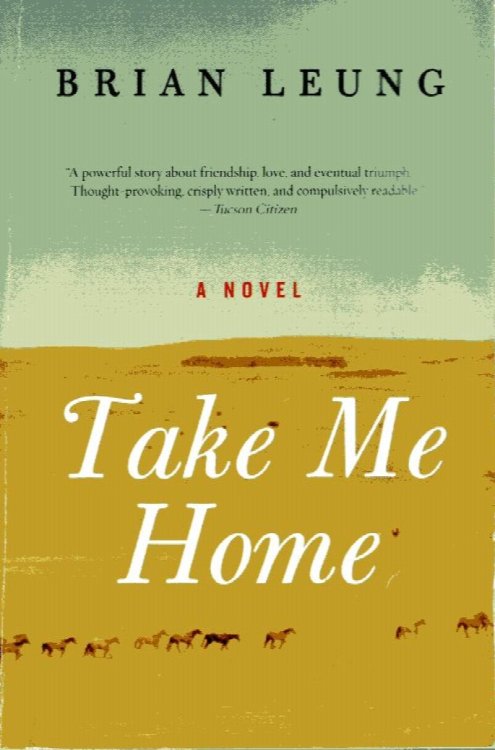 Take Me Home, a novel