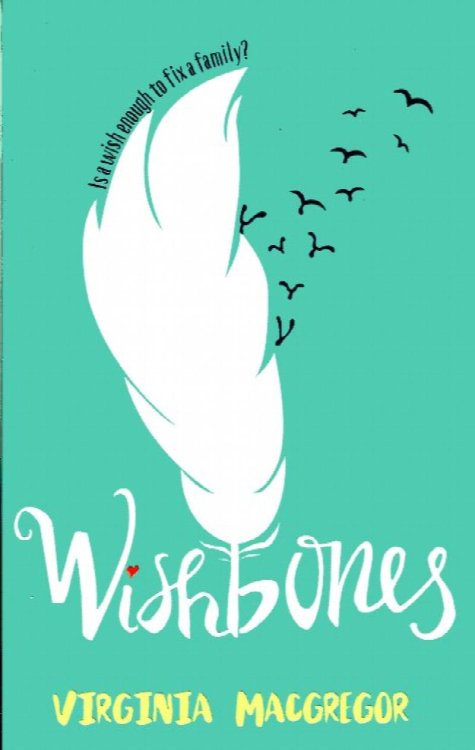 Wishbones: is a wish enough to fix a family