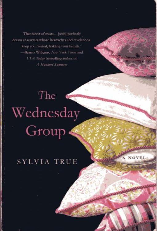 Wednesday Group, a novel