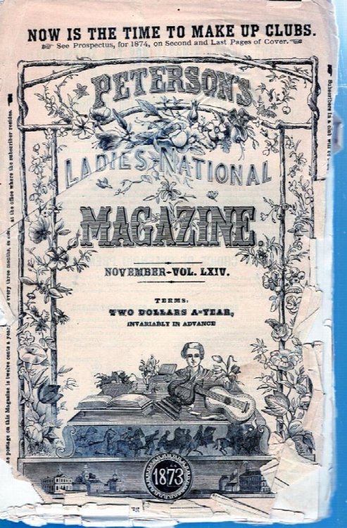 Ladies National Magazine November 1873 vol LXIV