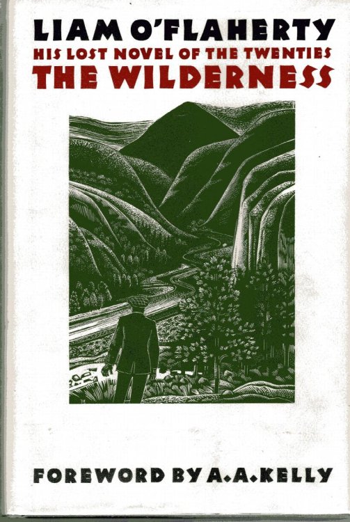 Wilderness: his lost novel of the twenties