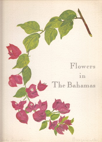 Flowers in The Bahamas
