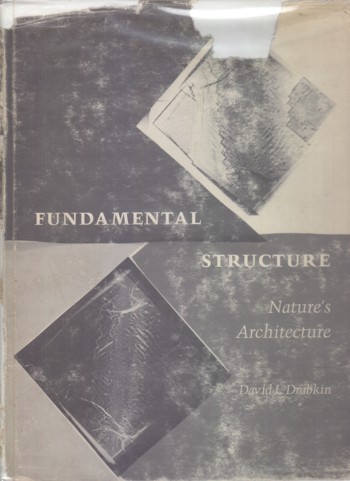 Fundamental Structure: nature's architecture