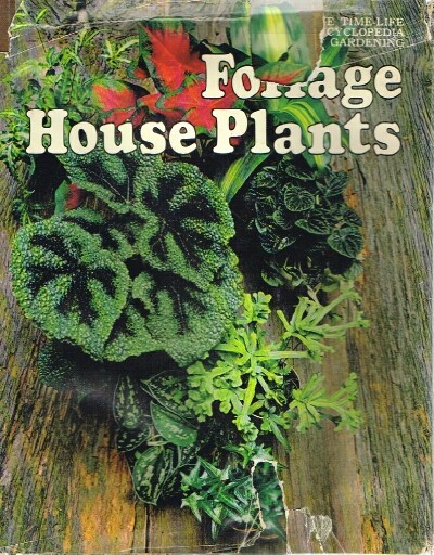 Foliage House Plants