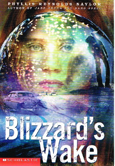 Blizzard's Wake