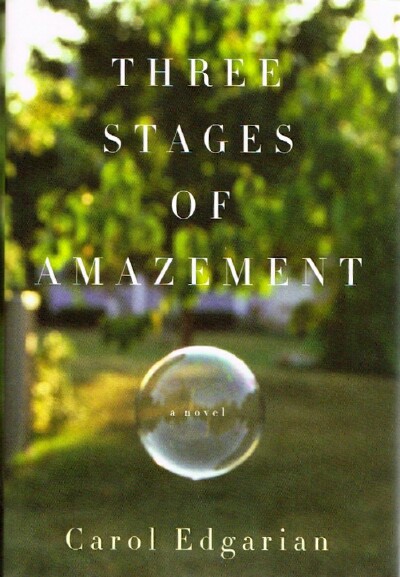 Three Stages of Amazement: A Novel A Novel