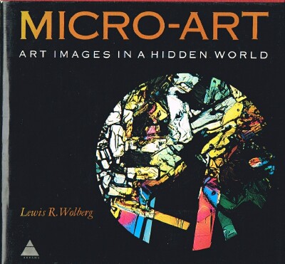 Micro-Art Art Images in a Hidden World