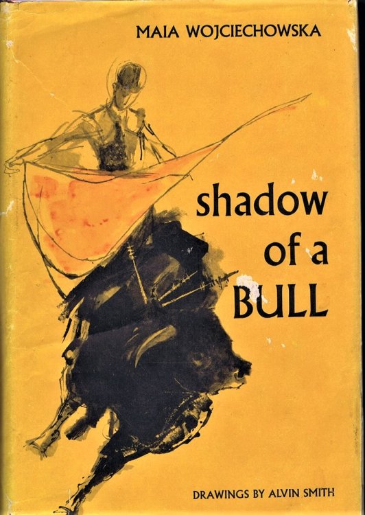 Shadow of a Bull