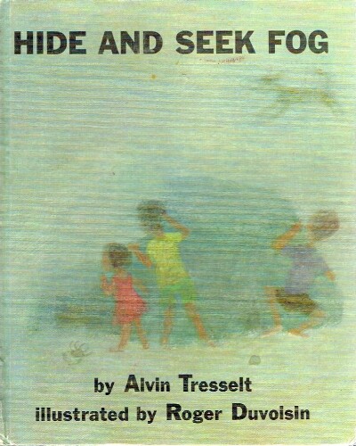 Hide and Seek Fog