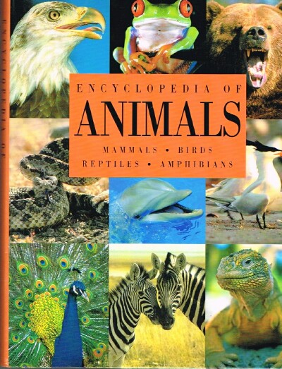 Encyclopedia of Animals: Mammals, Birds, Reptiles, Amphibians