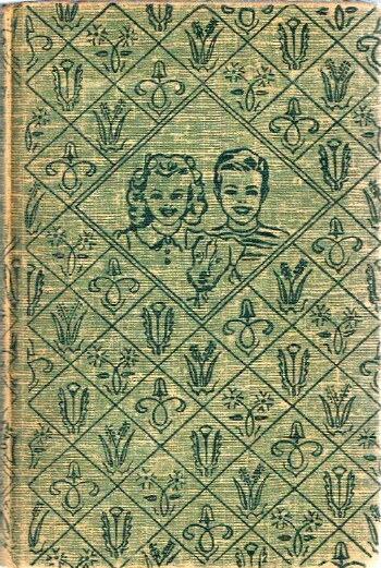 Bobbsey Twins in the Mystery Cave