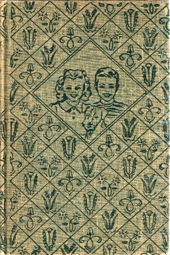Bobbsey Twins Big Adventure at Home