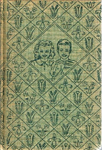 Bobbsey Twins in a Great City