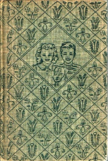 Bobbsey Twins on Blueberry Island
