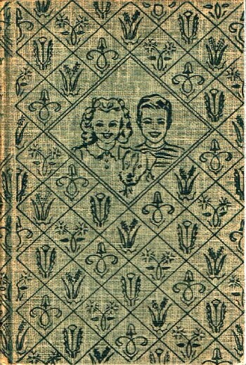The Bobbsey Twins and the Country Fair Mystery