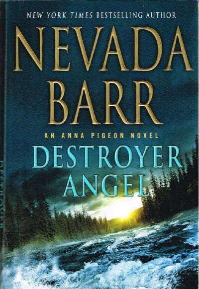 Destroyer Angel