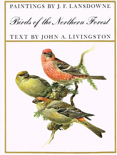 Birds of the Norhtern Forest