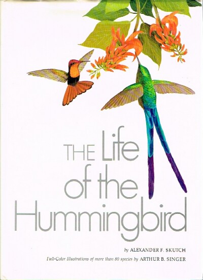 The Life of the Hummingbird