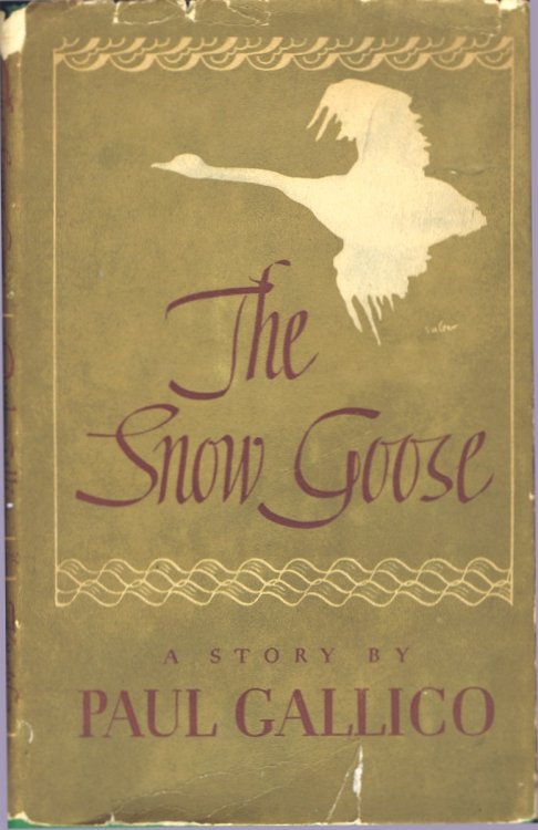 The Snow Goose