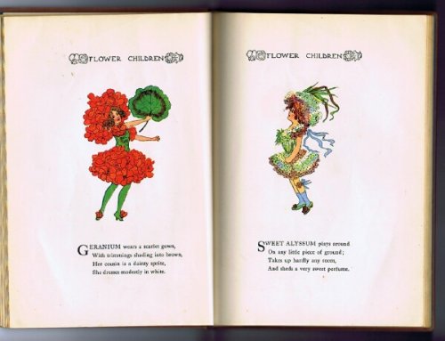 Flower Children: The Little Cousins of The Field and Garden