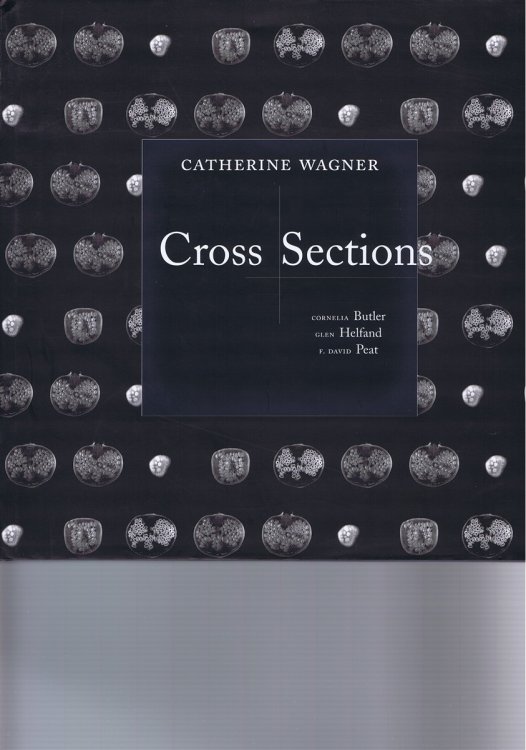 Cross Sections