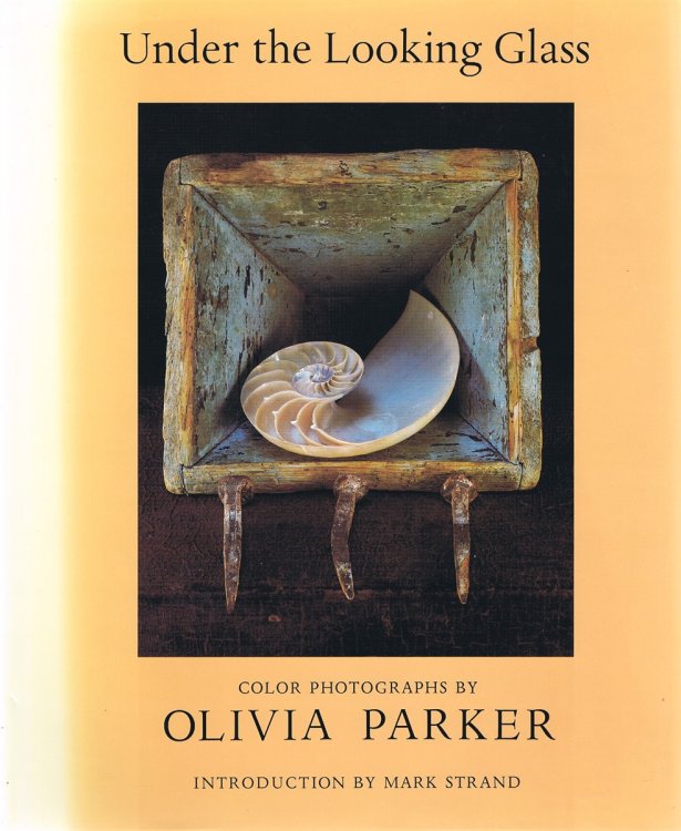 Under the Looking Glass