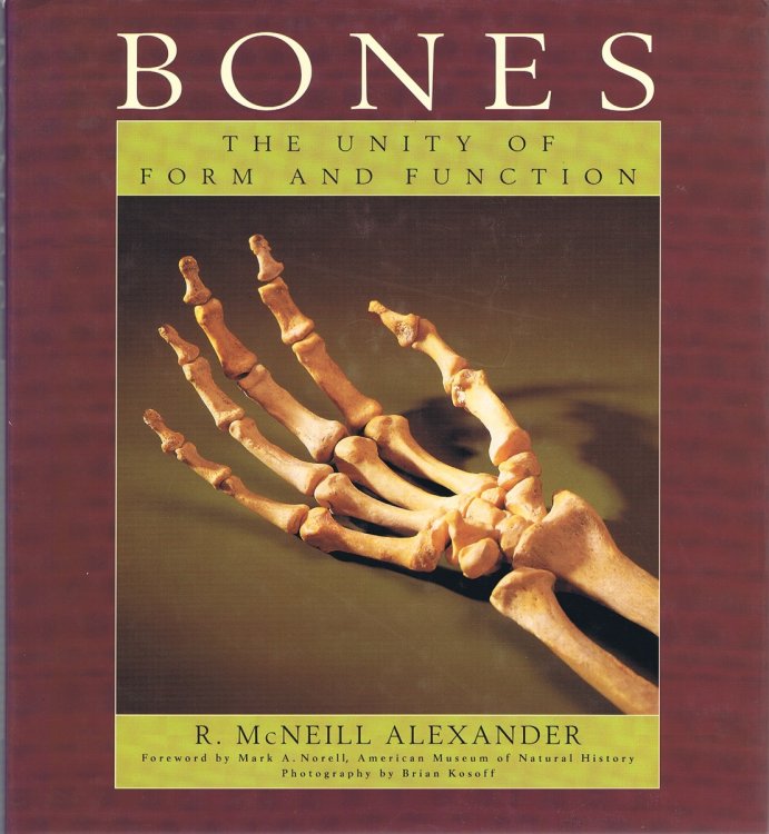 Bones: The Unity of Form and Function