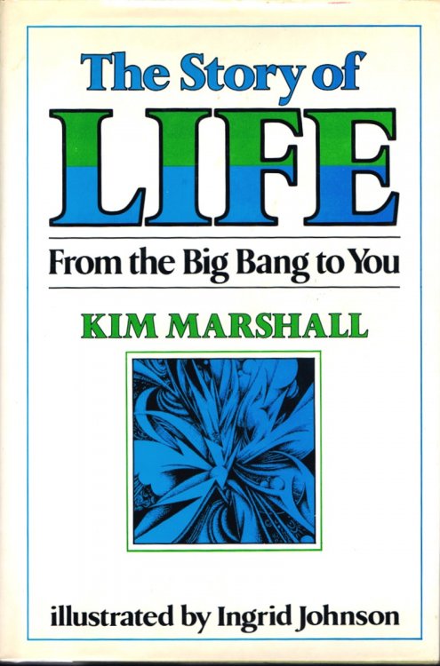 The Story of Life: From the Big Bang to You