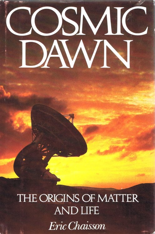 Cosmic Dawn: The Origins of Matter and Life