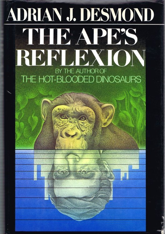 The Ape's Reflexion