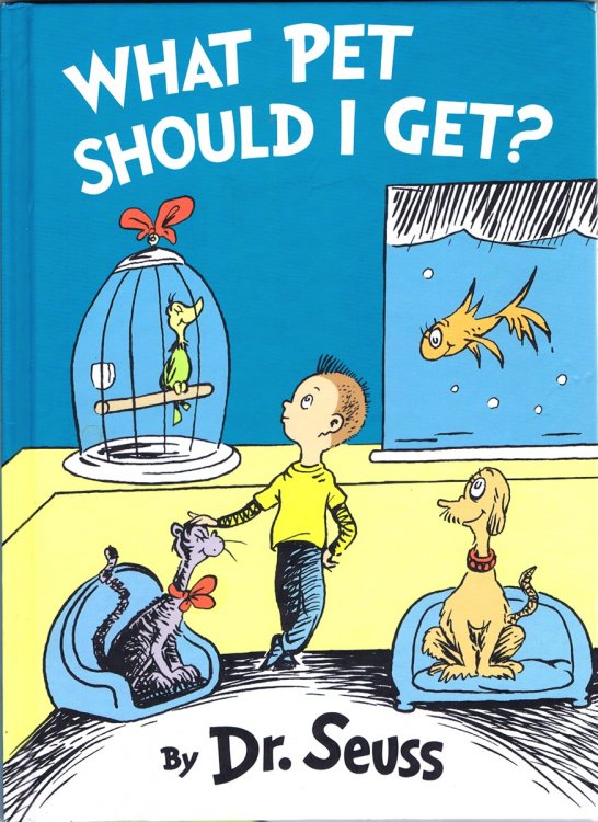 What Pet Should I Get