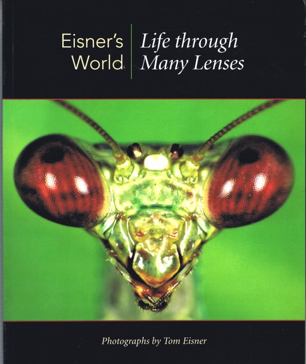 Eisner's World: Life Through Many Lenses