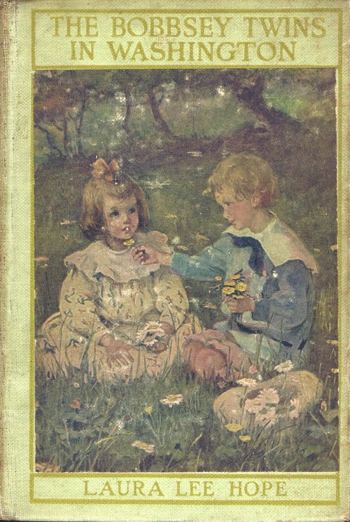 The Bobbsey Twins in Washington