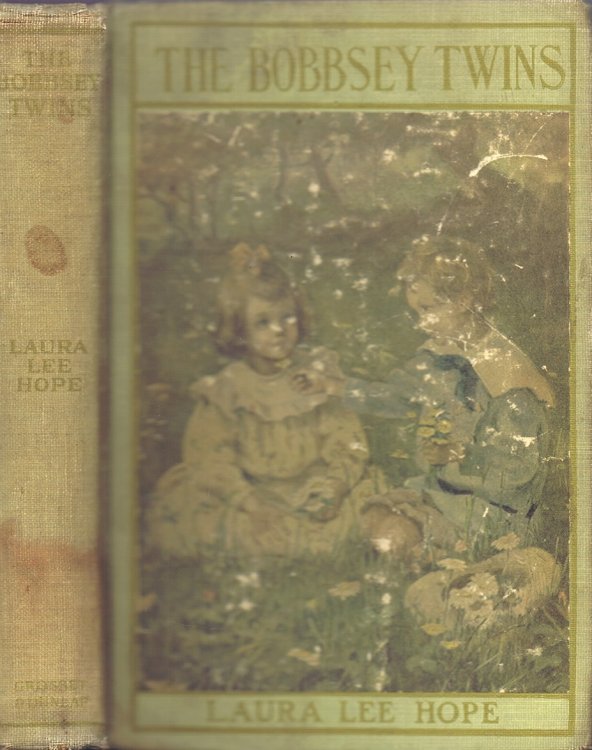 The Bobbsey Twins, or Merry Days Indoors and Out
