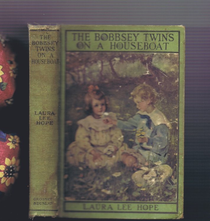 The Bobbsey Twins on a Houseboat