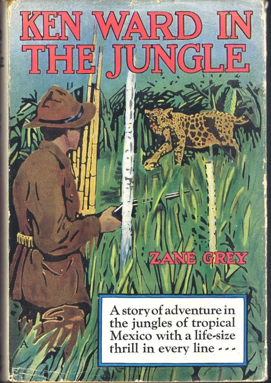 Ken Ward in the Jungle