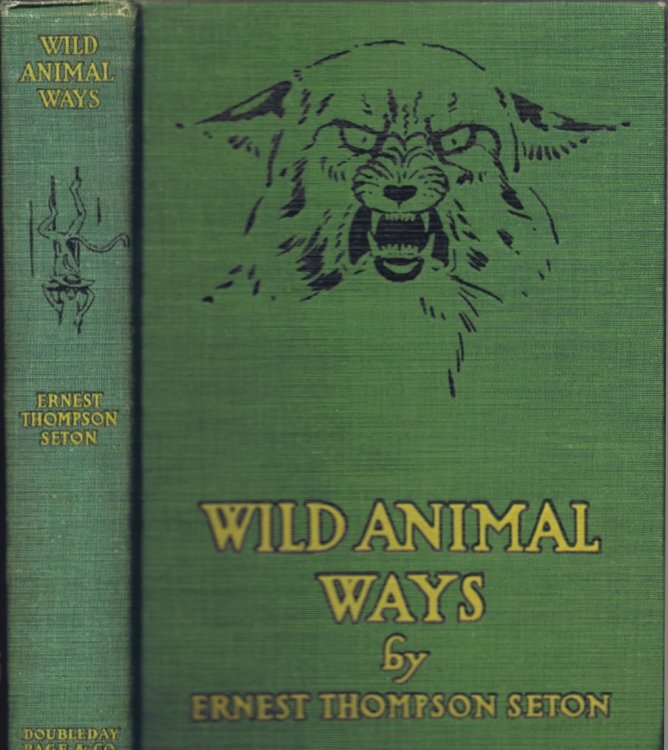 Wild Animal Ways