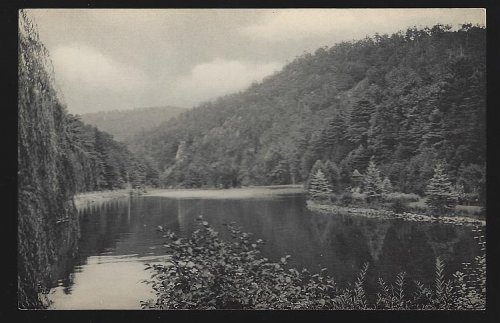 POOL IN MOSQUITO VALLEY NEAR WILLIAMSPORT, PENNSYLVANIA