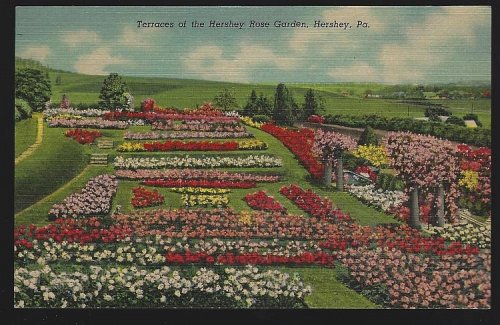 TERRACES OF THE HERSHEY ROSE GARDEN, HERSHEY, PENNSYLVANIA