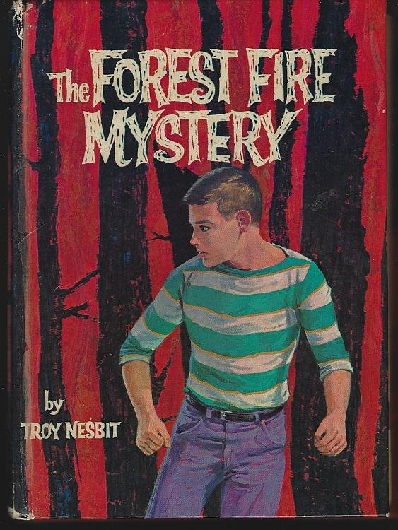 FOREST FIRE MYSTERY