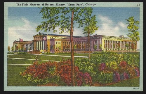 FIELD MUSEUM OF NATURAL HISTORY, GRANT PARK, CHICAGO, ILLINOIS