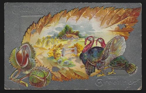 THANKSGIVING GREETINGS POSTCARD WITH TURKEYS IN LEAF AND AUTUMN LANDSCAPE