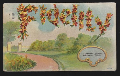 LANGUAGE OF FLOWERS POSTCARD WITH WALLFLOWER: FIDELITY