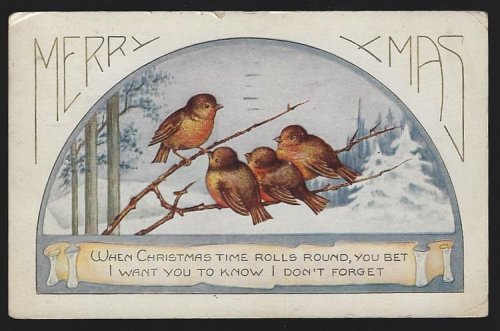 MERRY CHRISTMAS POSTCARD WITH BIRDS AND SNOWY LANDSCAPE
