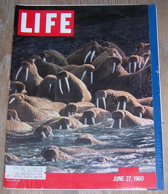 LIFE MAGAZINE JUNE 27, 1960
