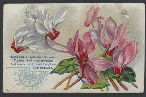 BOUQUET OF CYCLAMEN FLOWERS, SOUND SLEEP BY NIGHT, STUDY AND EASE